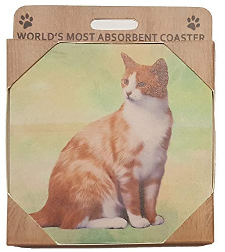 E and S Imports Ceramic Coaster - Orange  and  White Cat -1-