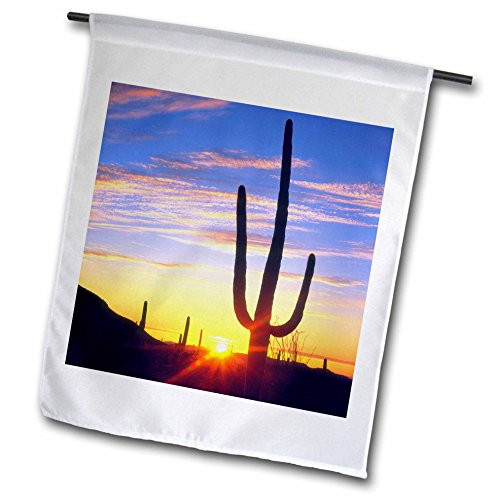 3dRose USA, Arizona, A Saguaro Cactus at Sunset. - Garden Flag, 12 by 18"