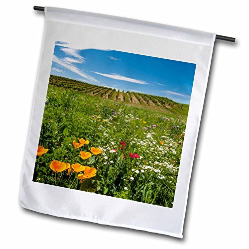 3dRose fl_191809_1 Usa, Washington, Walla Walla. Fowers Near A Vineyard. Garden Flag, 12 by 18-Inch 3dRose fl_191809_1 Usa, Washington, Walla Walla. Fowers Near A Vineyard. Garden Flag, 12 by 18-Inch