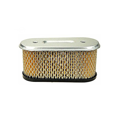 Rotary Corp Paper Air Filter for B and S Repl B and S 491021