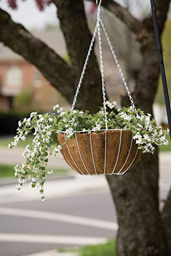 Panacea Hanging Basket With Liner 14 " Round Steel White