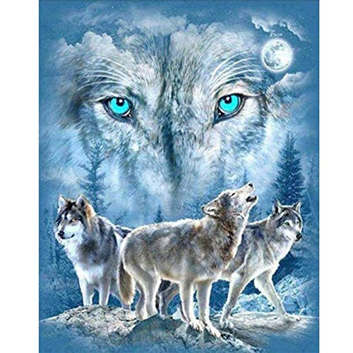 DIY 5D Diamond Painting Full Drill Diamond Embroidery Kit Rhinestone Painting Cross Stitch Kit Wall Art Decor 5D Diamond Painting by Number Kits Home Decor Arctic Wolf -B 30X40cm-