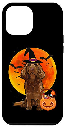 iPhone 12 Pro Max Dog Halloween Sussex Spaniel Jack O Lantern Pumpkin Case
