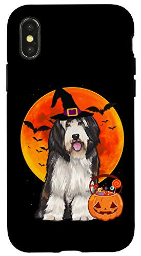 iPhone X-XS Dog Halloween Bearded Collie Jack O Lantern Pumpkin Case