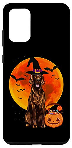 Galaxy S20 plus Dog Halloween Irish Setter Jack O Lantern Pumpkin Case