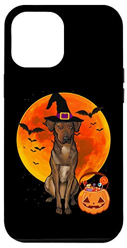 iPhone 12 Pro Max Dog Halloween Plott Jack O Lantern Pumpkin Case