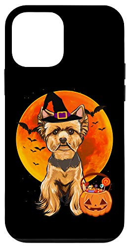 iPhone 12 mini Dog Halloween Yorkshire Terrier Jack O Lantern Pumpkin Case