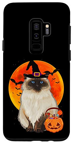 Galaxy S9 plus Cat Halloween Himalayan Jack O Lantern Pumpkin Case