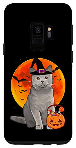 Galaxy S9 Cat Halloween British Shorthair Jack O Lantern Pumpkin Case