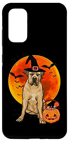 Galaxy S20 Dog Halloween Boerboel Jack O Lantern Pumpkin Case