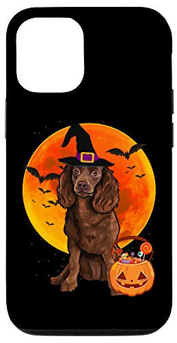 iPhone 12-12 Pro Dog Halloween American Water Spaniel Jack O Lantern Pumpkin Case