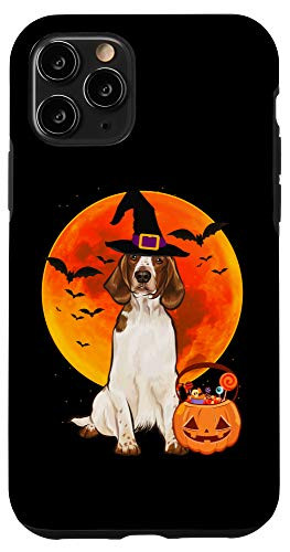 iPhone 11 Pro Dog Halloween Welsh Springer Spaniel Jack O Lantern Pumpkin Case