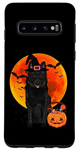 Galaxy S10 Dog Halloween Schipperke Jack O Lantern Pumpkin Case