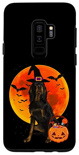 Galaxy S9 plus Dog Halloween Gordon Setter Jack O Lantern Pumpkin Case