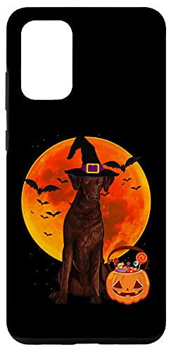 Galaxy S20 plus Dog Halloween Curly-Coated Retriever Jack O Lantern Pumpkin Case