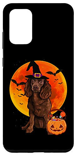 Galaxy S20 plus Dog Halloween American Water Spaniel Jack O Lantern Pumpkin Case