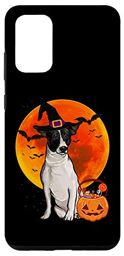 Galaxy S20 plus Dog Halloween Rat Terrier Jack O Lantern Pumpkin Case