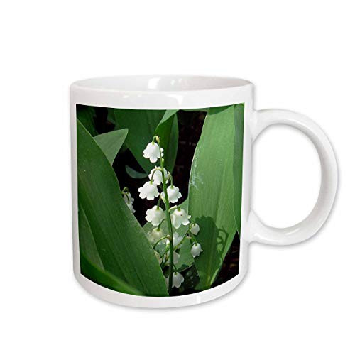 3dRose Lily Of The Valley Mug 15 oz Ceramic