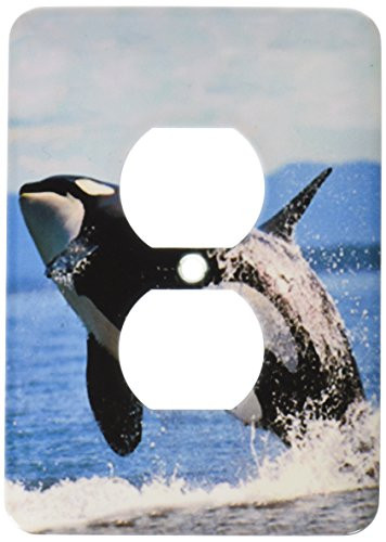 3dRose lsp_2545_6"Killer whale airborne" 2 Plug Outlet Cover