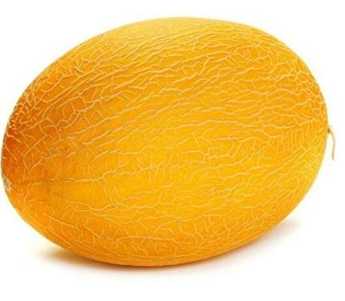 Melon S.e.e.ds Sugar P-133 Heirloom 70 S.e.e.ds