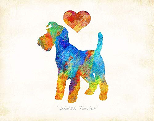 Welsh Terrier 2 Dog Breed Art Print by Dan Morris