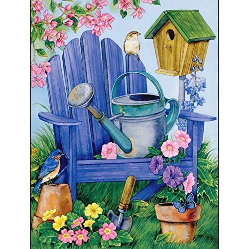DIY 5D Diamond Painting by Number Kits Full Drill feilin Hummingbird Embroidery Rhinestone Diamond Painting for Adult Cross Stitch Arts Craft Supply for Home Wall Decor DIY Gift Idea -G 30x40cm-