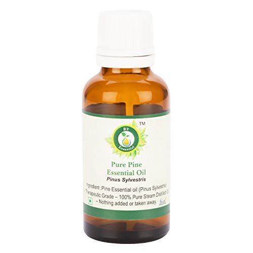 R V Essential Pure Pine Essential Oil 30ml -1.01oz-- Pinus Sylvestris -100 percent Pure and Natural Steam Distilled- R V Essential Pure Pine Essential Oil 30ml -1.01oz-- Pinus Sylvestris -100 percent Pure and Natural Steam Distilled-