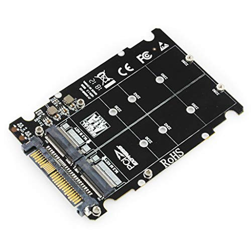 leyeruk M.2 SSD to U.2 Adapter 2in1 M.2 NVMe and SATA-Bus SSD to PCI-e U.2 SFF-8639
