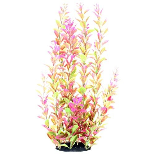 Underwater Treasures Pink Ludwigia - 14"