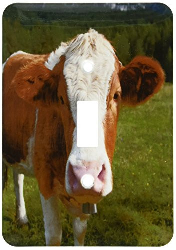 3dRose lsp_165721_1 Simmental Cow Toggle Switch