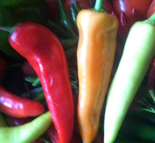 LGKO Banana Pepper S-e-ed-s LGKO Banana Pepper S-e-ed-s