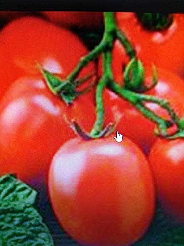LGKO Roma Tomato S-e-e-d~s