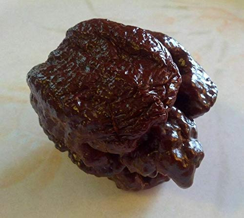 LGKO Chocolate Brain Strain Pepper S-e-ed-s