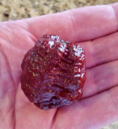 LGKO Chocolate Brain Strain Hot Pepper S-e-ed-s