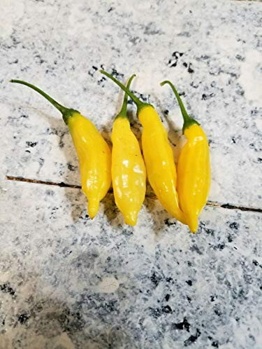 Aji Lemon Pepper S-e-ed-s
