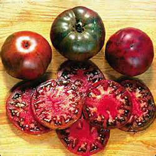 LGKO Black Master Tomato S-e-e-d~s LGKO Black Master Tomato S-e-e-d~s
