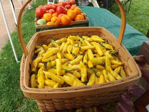 Aji Limon Pepper S-e-ed-s