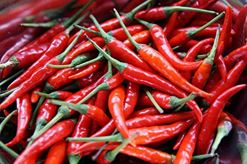 LGKO Spicy Super Chili Pepper S-e-ed-s