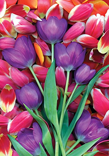 Toland Home Garden Purple Tulips 28 x 40 Inch Decorative Colorful Spring Tulip Flower House Flag