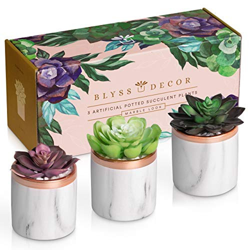 3 Potted Artificial Succulents with Free eBook Fake Succulents Plants Artificial Succulent Decor Small Fake Plants Fake Succulent Plants Artificial Succulent Plants Fake Succulants