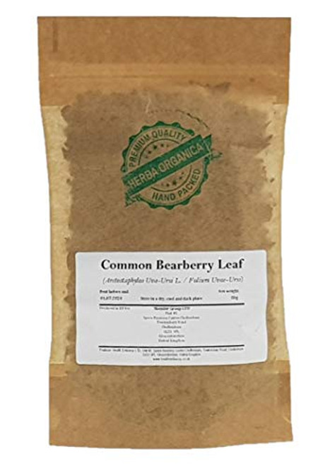 Common Bearberry Leaf - Arctostaphylos Uva-Ursi L  Herba Organica  Kinnikinnick Pinemat Manzanita Bearberry -50g-