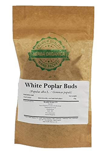 White Poplar Buds - Populus Alba L  Herba Organica  -50g-