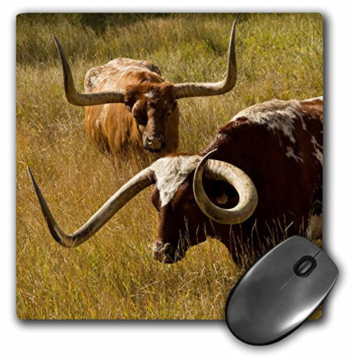 3dRose Mouse Pad Texas Longhorn, Custer, South Dakota, USA, 8 x 8" (mp_279432_1) 3dRose Mouse Pad Texas Longhorn, Custer, South Dakota, USA, 8 x 8" (mp_279432_1)