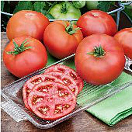 Heatmaster Tomato - 25 S.e.e.d.s
