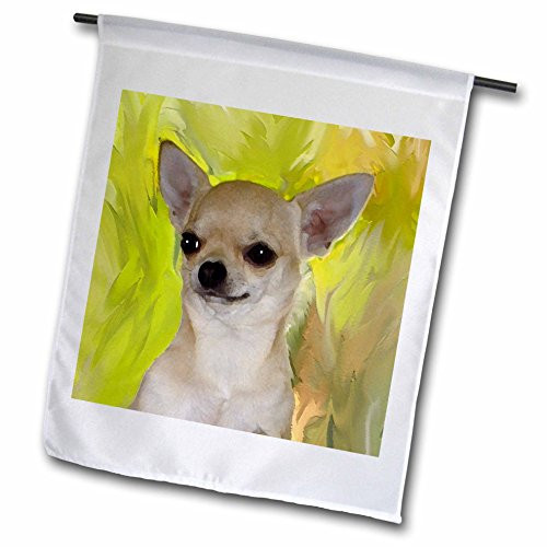 3dRose Dogs Chihuahua - Chihuahua Portrait - 12 x 18 inch Garden Flag (fl_4465_1)