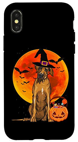 iPhone X-XS Dog Halloween Rhodesian Ridgeback Jack O Lantern Pumpkin Case