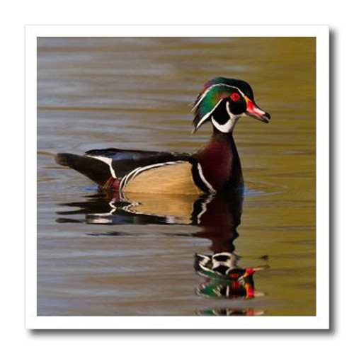 3D Rose Wood Duck Drake Iron On Heat Transfer 10 x 10 White 3D Rose Wood Duck Drake Iron On Heat Transfer 10 x 10 White