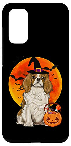 Galaxy S20 Halloween Cavalier Charles Spaniel Jack O Lantern Pumpkin Case