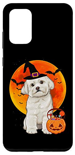Galaxy S20 plus Dog Halloween Maltese Jack O Lantern Pumpkin Case
