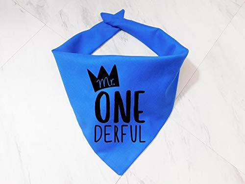 Mr One Derful Birthday Dog Bandana - Whoa Dog E
